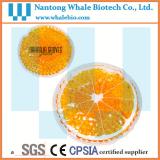 Orange Shaped Gel Beads Hot Cold Pack